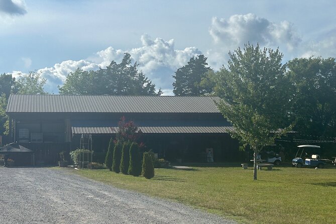 Arrington Wine and Franklin Dine Private Tour from Nashville - Stop 3: Franklin’s historic downtown for shopping and an early dinner window