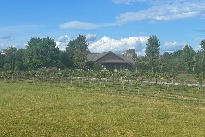 Arrington Wine and Franklin Dine Private Tour from Nashville - Stop 4: Nashville downtime between locations (what to expect)