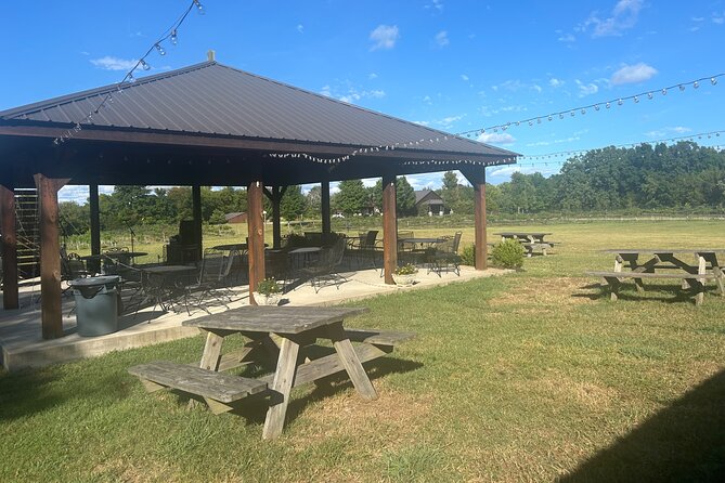 Arrington Wine and Franklin Dine Private Tour from Nashville - The driver experience: why it can make or break your day