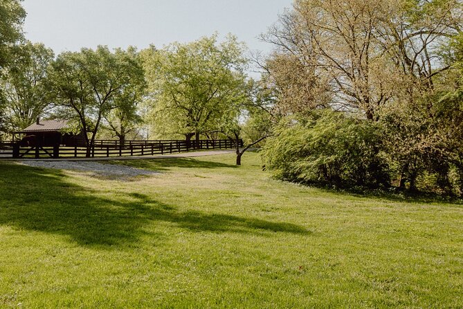 Battle at Belle Meade Civil War Tour & Complimentary Wine Tasting - Who this tour is best for