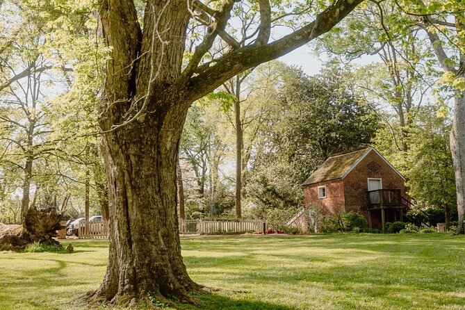 Belle Meade Guided Mansion Tour with Complimentary Wine Tasting - Who Should Book This Belle Meade Tour (and Who Might Skip It)