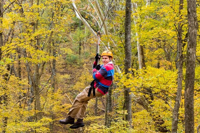 Fontanel Zipline Forest Adventure at Nashville North - Weather, Season, and When You Might Get Canceled