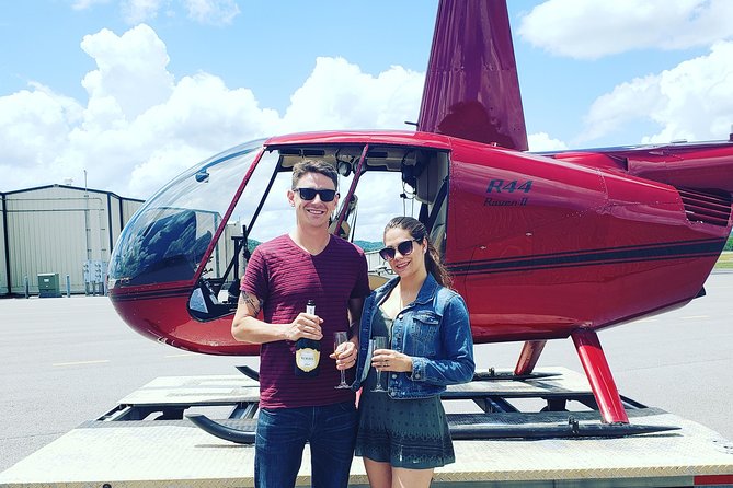 Helicopter Tour of Downtown Nashville - Music Row and the Country Music Hall of Fame: the view behind the soundtrack