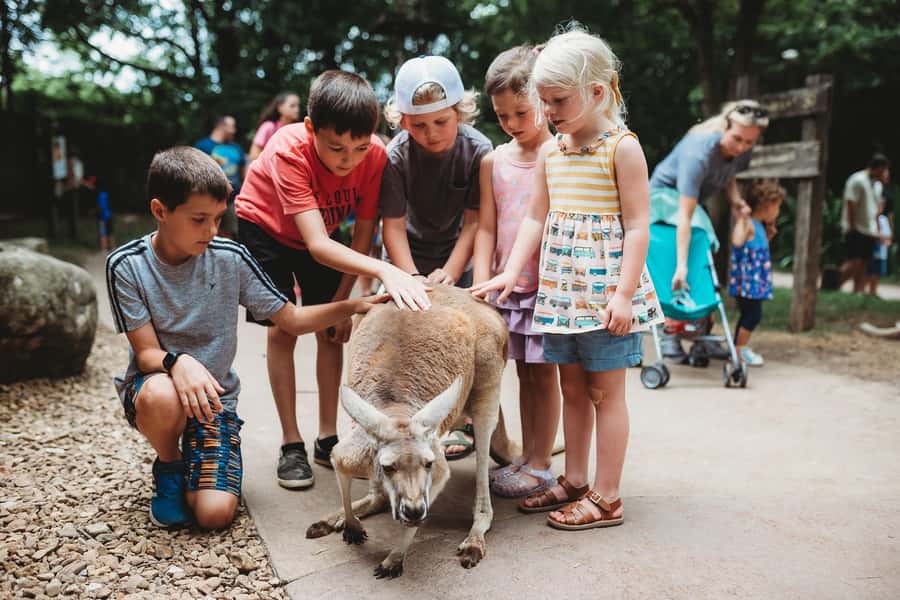 Nashville Zoo: Any-Day Admission Ticket - Skip-the-line entry and flexible dates at Nashville Zoo