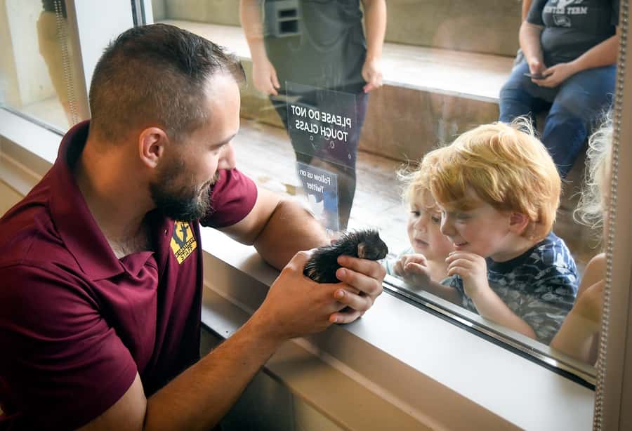 Nashville Zoo: Any-Day Admission Ticket - 3,000+ animals that don’t feel crammed into small space