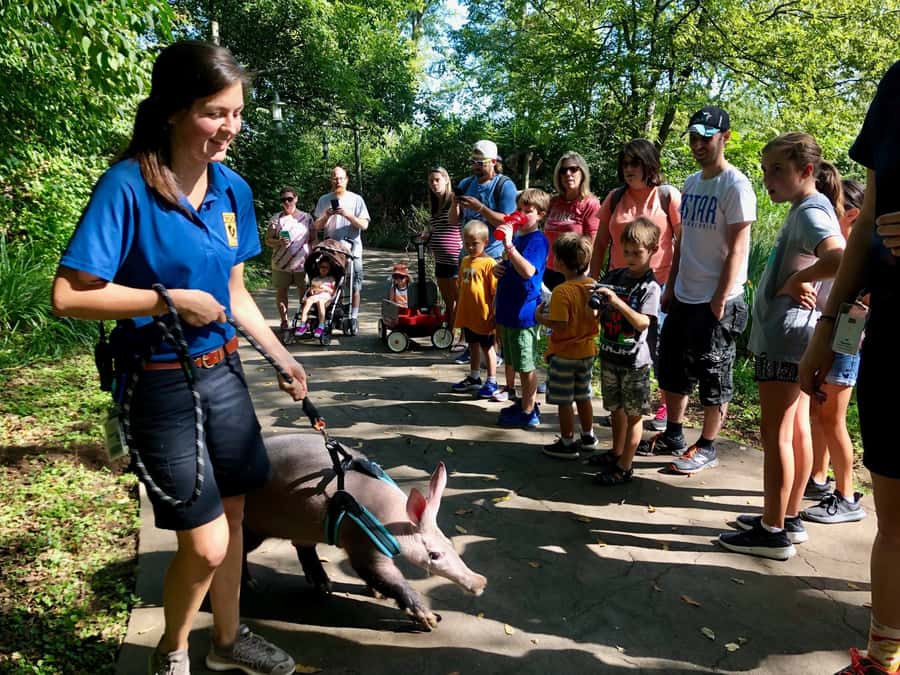 Nashville Zoo: Any-Day Admission Ticket - Grassmere Historic Home: a slower pause inside the day