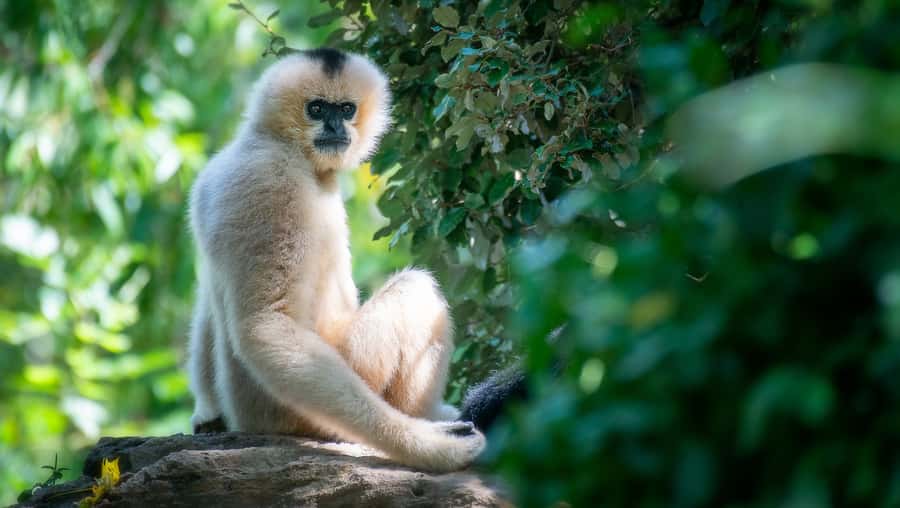 Nashville Zoo: Any-Day Admission Ticket - Playground time that works for all kids