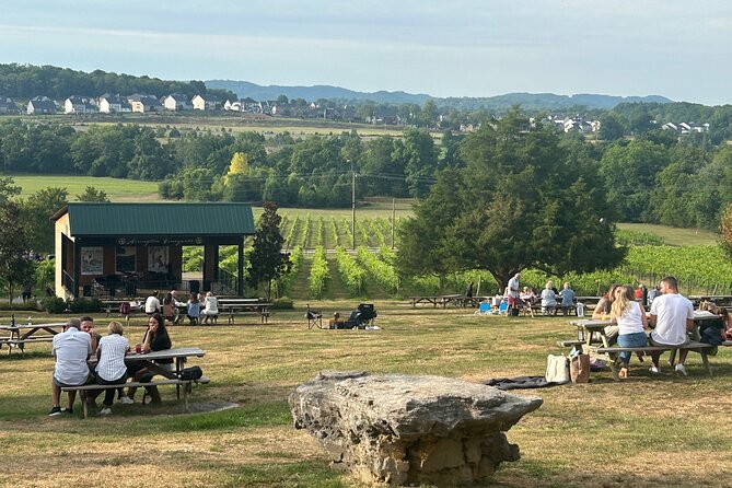 Private Arrington Wine and Franklin Dine Tour from Nashville - Key highlights you’ll actually care about