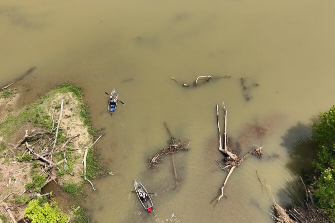 Small Group Clear Kayak Tour of Old Hickory Lake - Wind and Water Conditions: Plan Like a Paddler