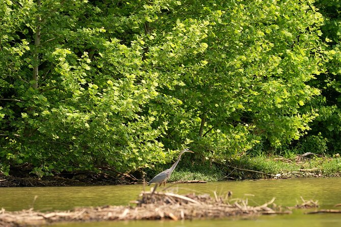 Small Group Clear Kayak Tour of Old Hickory Lake - Price and Value: Why $69 Feels Fair for What You Get