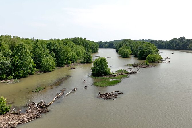 Small Group Clear Kayak Tour of Old Hickory Lake - Who This Small-Group Clear Kayak Tour Is Best For