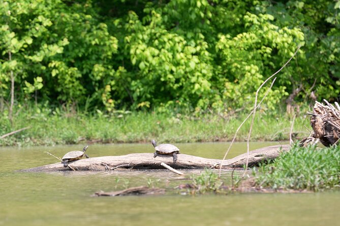 Small Group Clear Kayak Tour of Old Hickory Lake - Should You Book the Clear Kayak Tour of Old Hickory Lake?