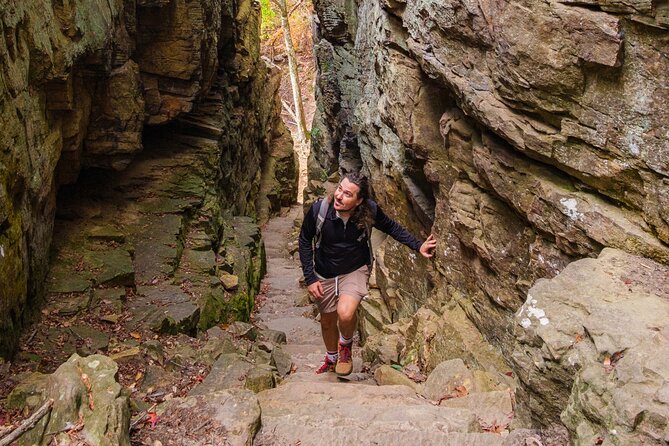 Tennessee Fall Colors Hiking Tour - Quick hits you’ll care about